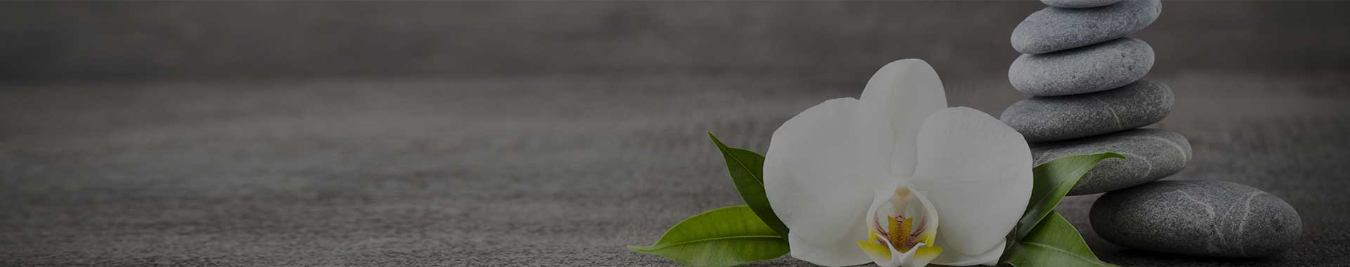 上海spa按摩